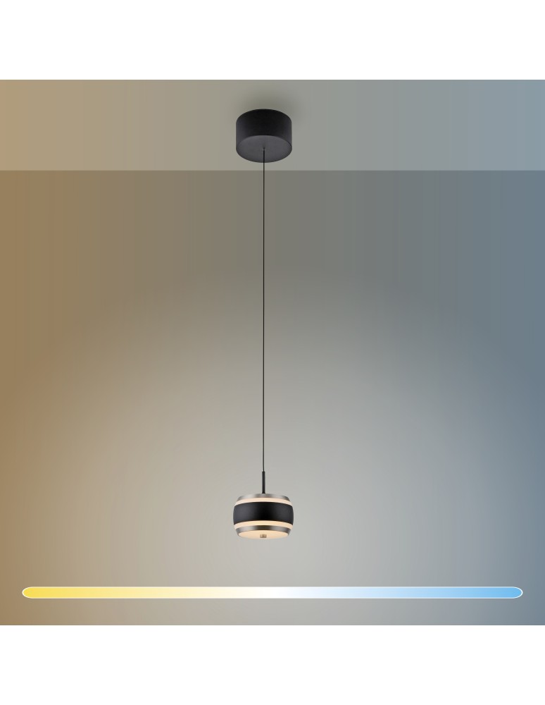 Paul Neuhaus Pure Falling Rings Lampa Wisząca Czarna 2503-18