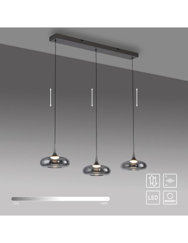 Paul Neuhaus Posh Lampa Wisząca Szara 15693-15 - product 2