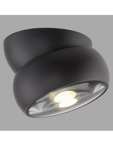 Paul Neuhaus Pure Move Lampa Sufitowa Czarna 6235-18
