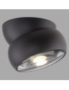 View Paul Neuhaus Pure Move Lampa Sufitowa Czarna 6235-18