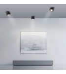 Paul Neuhaus Pure Move Lampa Sufitowa Czarna 6235-18