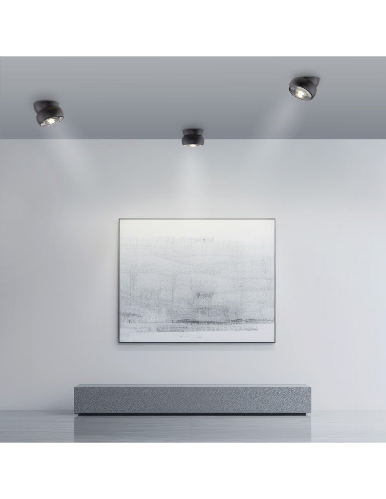 Paul Neuhaus Pure Move Lampa Sufitowa Czarna 6235-18