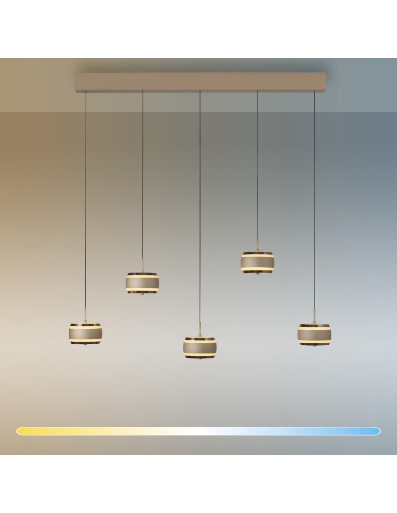 Paul Neuhaus Pure Falling Rings Lampa Wisząca Brązowy/Chrom 2504-97