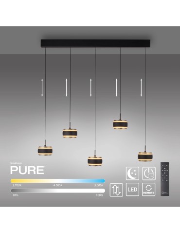Paul Neuhaus Pure Falling Rings Lampa Wisząca Czarna 2504-18 - product 2