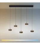 Paul Neuhaus Pure Falling Rings Lampa Wisząca Czarna 2504-18