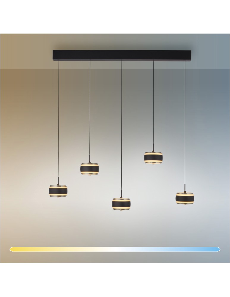 Paul Neuhaus Pure Falling Rings Lampa Wisząca Czarna 2504-18