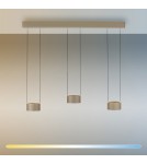 Paul Neuhaus Pure Clipse Lampa Wisząca Brązowa 2473-97