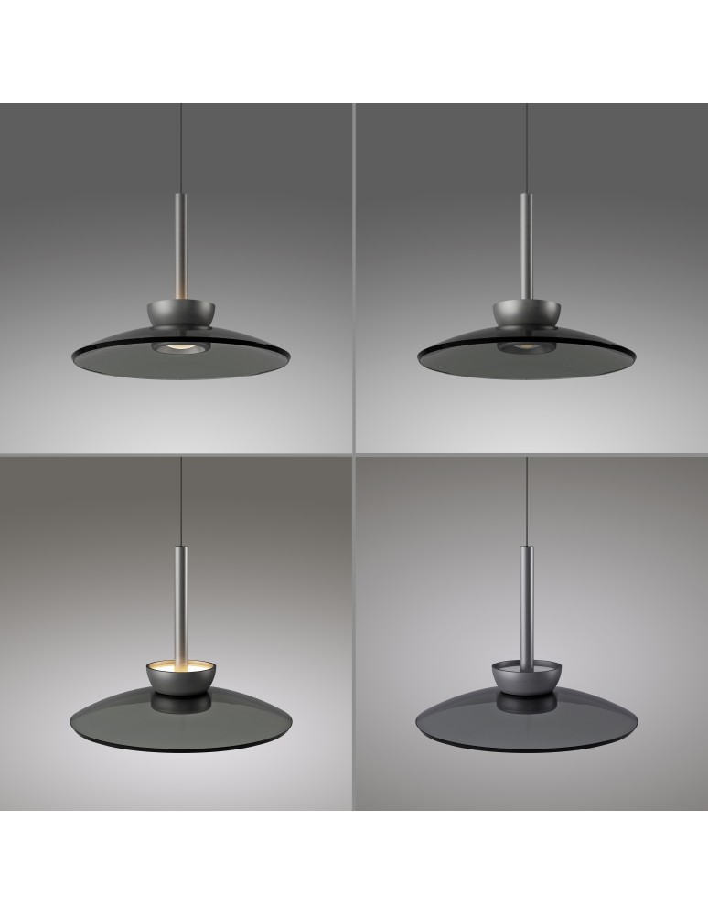 Paul Neuhaus Pure Moon Lampa Wisząca Platynowa 2193-15