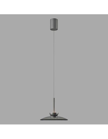 Paul Neuhaus Pure Moon Lampa Wisząca Szara 2191-15