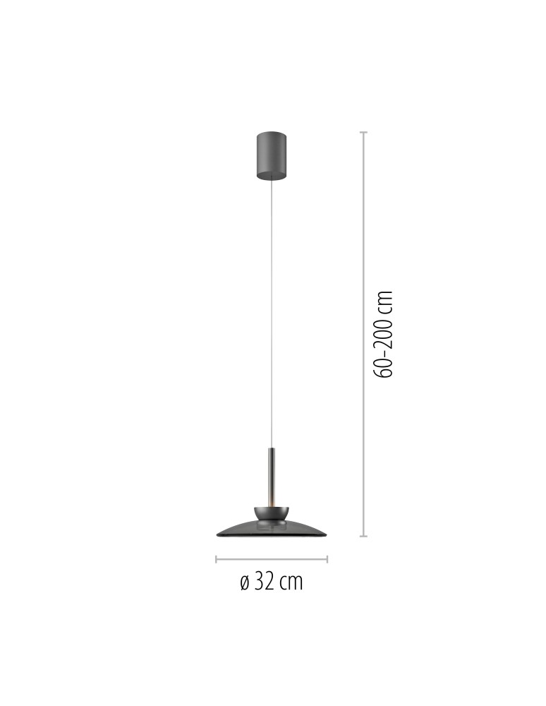 Paul Neuhaus Pure Moon Lampa Wisząca Szara 2191-15