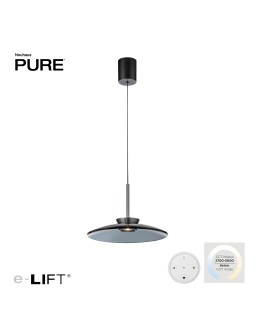 Paul Neuhaus Pure E-Moon Lampa Wisząca Szara 2195-15