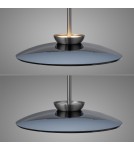 Paul Neuhaus Pure Moon Lampa Wisząca Szara 2194-15