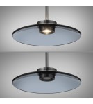 Paul Neuhaus Pure Moon Lampa Wisząca Szara 2194-15
