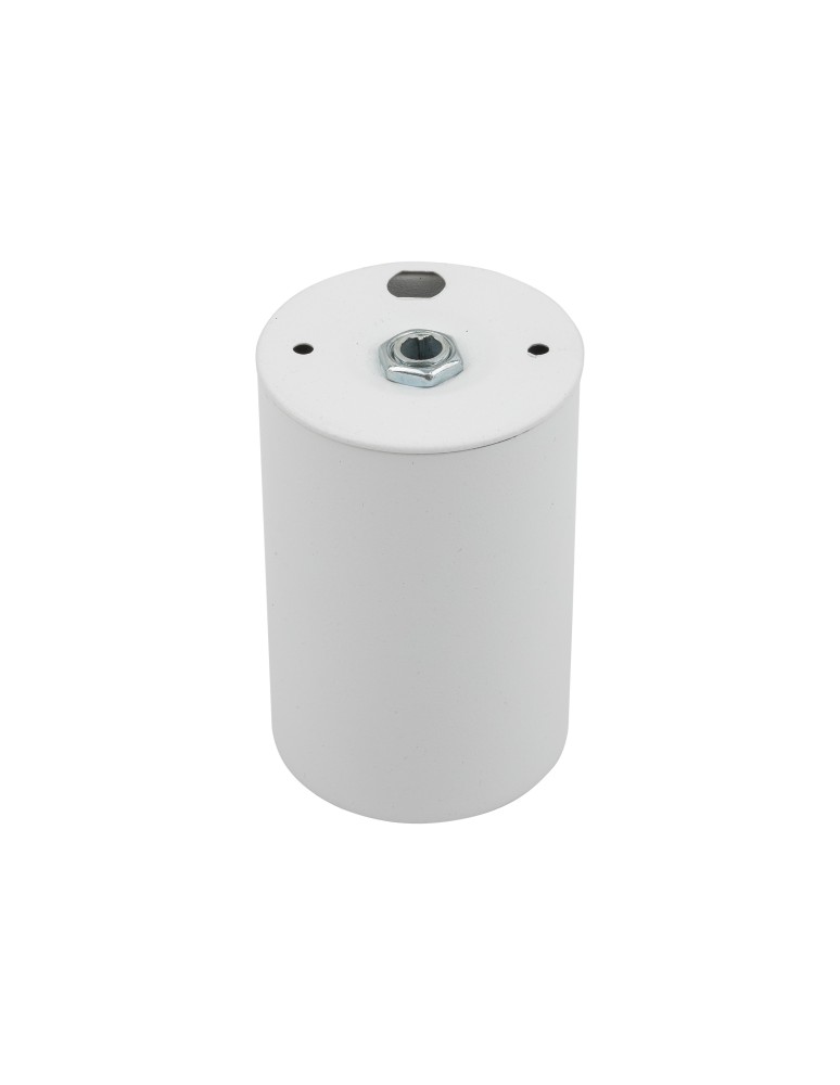 TK Lighting TOP WHITE 1 PUNKTOWA 5766