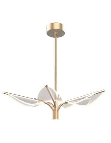 Quintiesse Mała lampa wisząca LED Floriana Naturalny mosiądz Elstead Lighting QN-FLORIANA-P-S-NBR