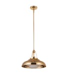 Quintiesse Lampa wisząca Palmetto 1 źródło światła Polerowany mosiądz Elstead Lighting QN-PALMETTO-P-M-PB