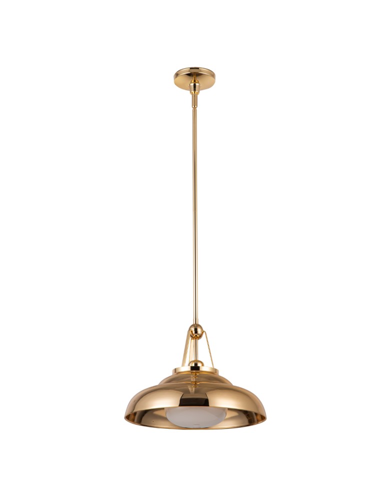 Quintiesse Lampa wisząca Palmetto 1 źródło światła Polerowany mosiądz Elstead Lighting QN-PALMETTO-P-M-PB