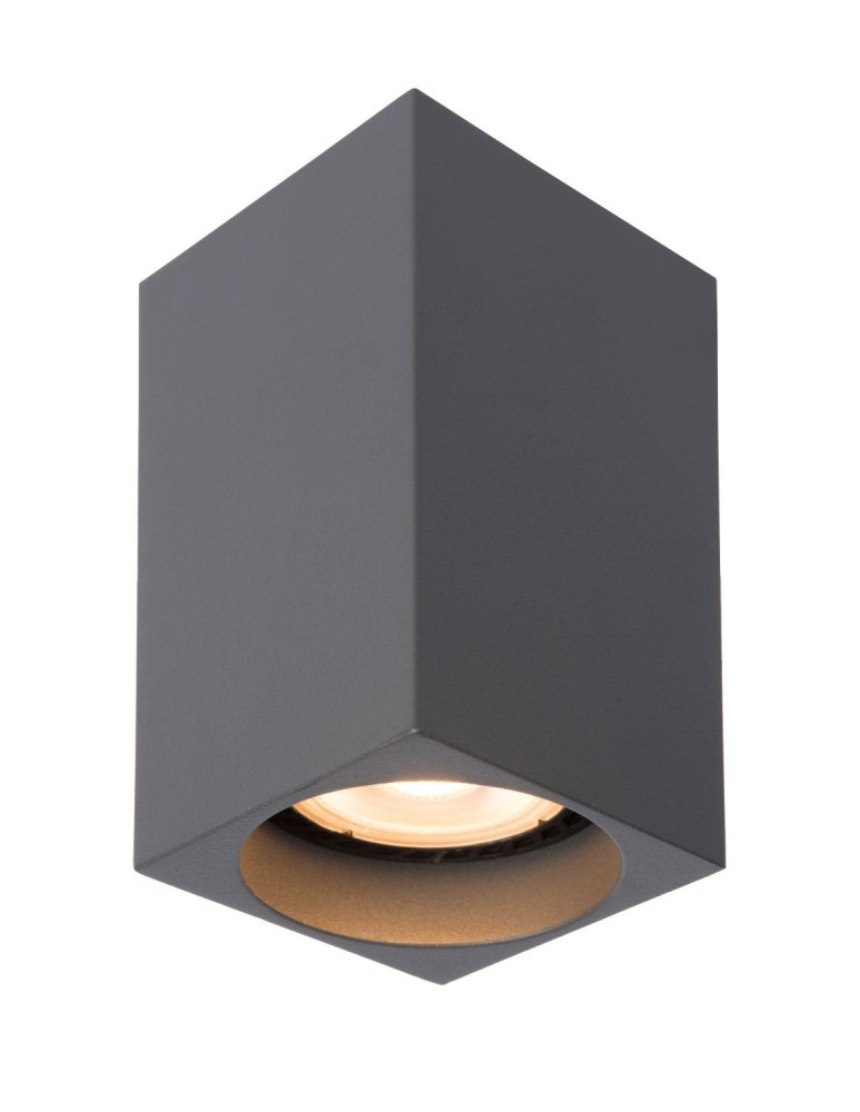 Ceiling luminaires for replaceable light source - Lucide DELTO LED Ceiling 1xGU10 grey 09916/06/36 - product kolory-swiatla.pl 1