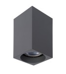 Ceiling luminaires for replaceable light source - Lucide DELTO LED Ceiling 1xGU10 grey 09916/06/36 - product 8