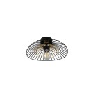 RL Nowoczesna lampa sufitowa w wykończeniu czarny mat o prostej, eleganckiej formie. Doskonale sprawdzi się jako centralne oś