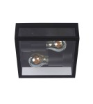 Hermetic plafonds - Lucide DUKAN Ceiling 2xE27 black 15802/02/30 - product 6