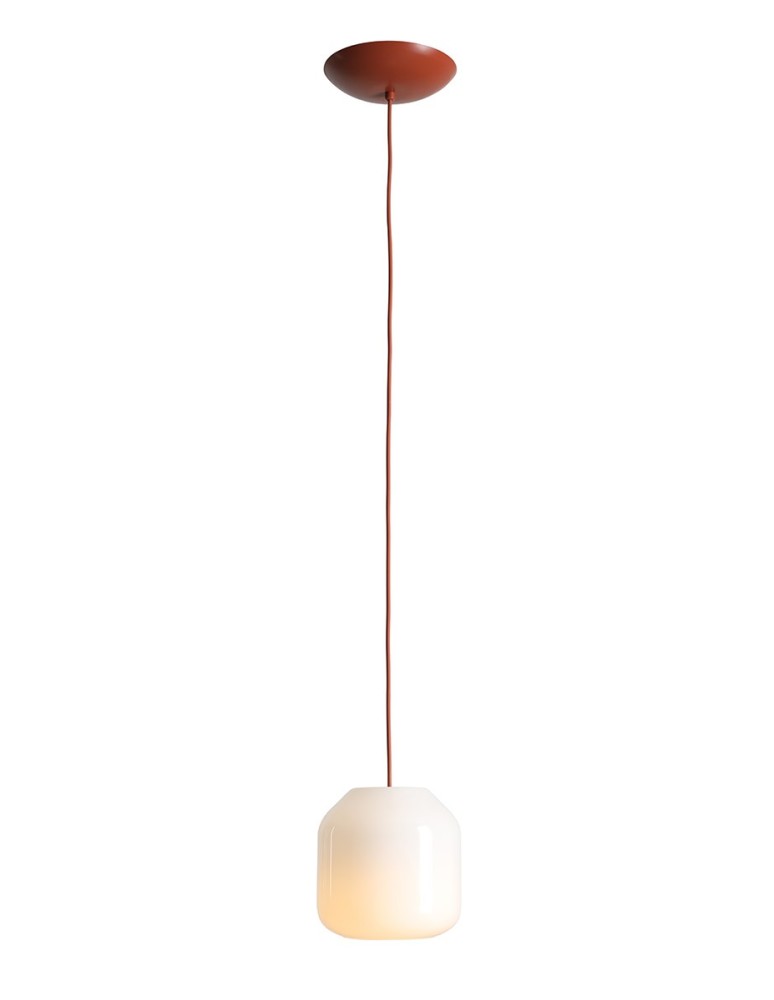 Aldex Lampa Wisząca FLASK TERRA S(żarówki w zestawie) 1 x max 10W LED (8500G24_S)