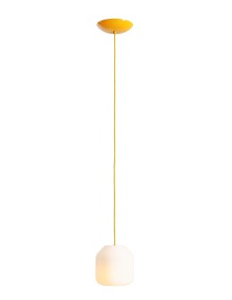 Aldex Lampa Wisząca FLASK MIMOSA S(żarówki w zestawie) 1 x max 10W LED (8500G21_S)