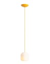 Aldex Lampa Wisząca FLASK MIMOSA S(żarówki w zestawie) 1 x max 10W LED (8500G21_S)