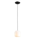 Aldex Lampa Wisząca FLASK ORCHID S(żarówki w zestawie) 1 x max 10W LED (8500G1_S)