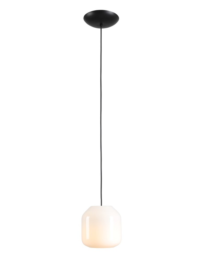 Aldex Lampa Wisząca FLASK ORCHID S(żarówki w zestawie) 1 x max 10W LED (8500G1_S)