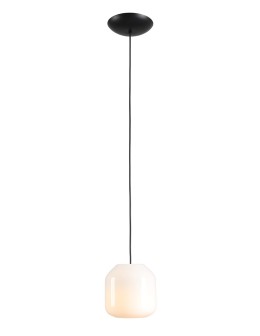 Aldex Lampa Wisząca FLASK ORCHID S(żarówki w zestawie) 1 x max 10W LED (8500G1_S)