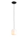 Aldex Lampa Wisząca FLASK ORCHID S(żarówki w zestawie) 1 x max 10W LED (8500G1_S)