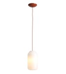 Aldex Lampa Wisząca FLASK TERRA M(żarówki w zestawie) 1 x max 15W LED (8500G24_M)