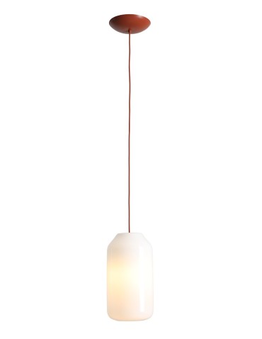 Aldex Lampa Wisząca FLASK TERRA M(żarówki w zestawie) 1 x max 15W LED (8500G24_M)