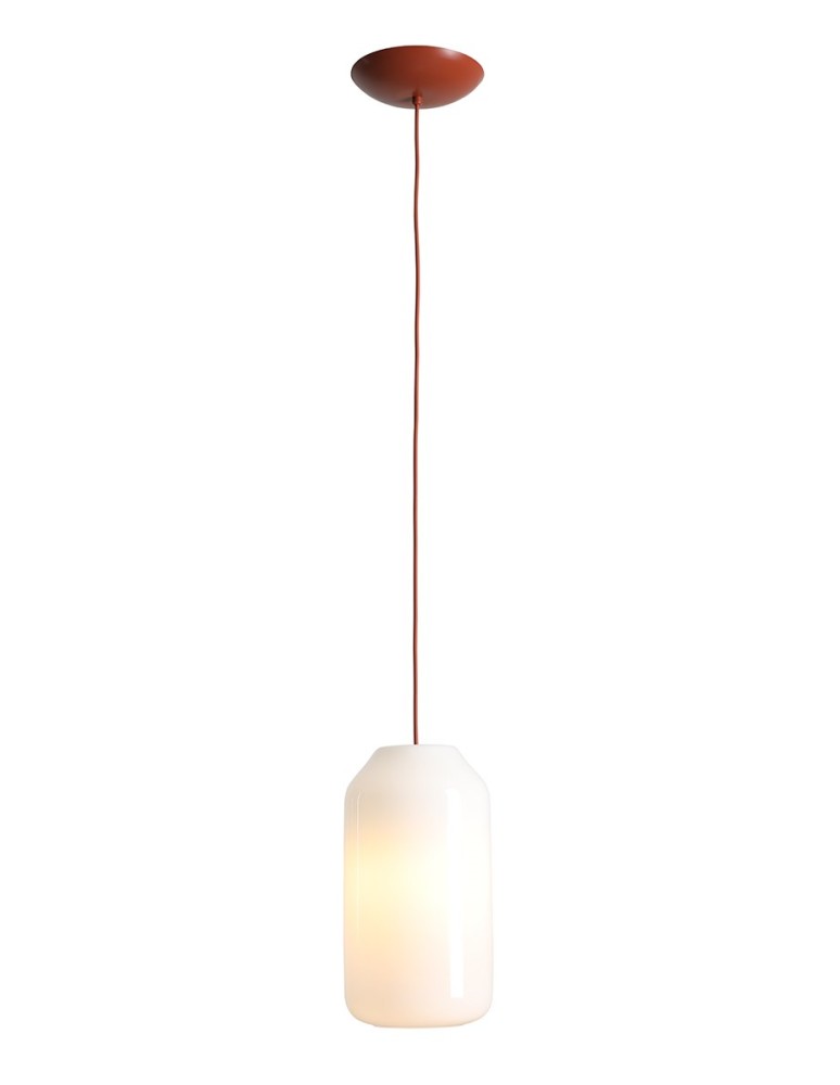 Aldex Lampa Wisząca FLASK TERRA M(żarówki w zestawie) 1 x max 15W LED (8500G24_M)