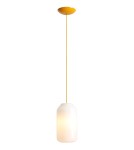 Aldex Lampa Wisząca FLASK MIMOSA M(żarówki w zestawie) 1 x max 15W LED (8500G21_M)