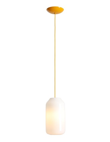 Aldex Lampa Wisząca FLASK MIMOSA M(żarówki w zestawie) 1 x max 15W LED (8500G21_M)
