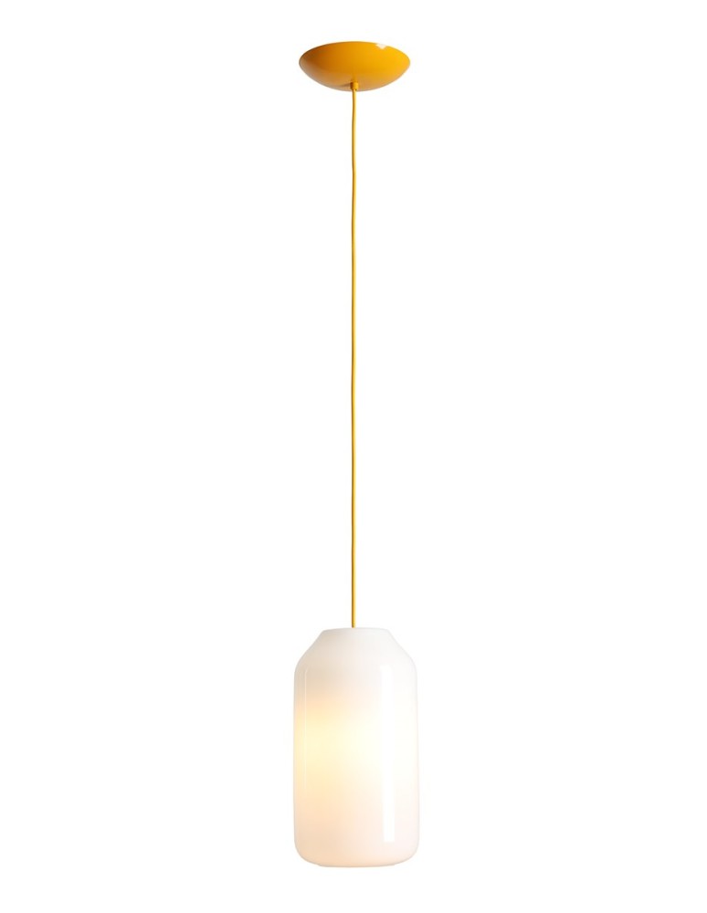 Aldex Lampa Wisząca FLASK MIMOSA M(żarówki w zestawie) 1 x max 15W LED (8500G21_M)