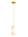 Aldex Lampa Wisząca FLASK MIMOSA M(żarówki w zestawie) 1 x max 15W LED (8500G21_M)