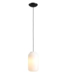 Aldex Lampa Wisząca FLASK ORCHID M(żarówki w zestawie) 1 x max 15W LED (8500G1_M)