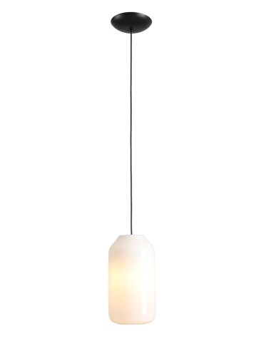 Aldex Lampa Wisząca FLASK ORCHID M(żarówki w zestawie) 1 x max 15W LED (8500G1_M)