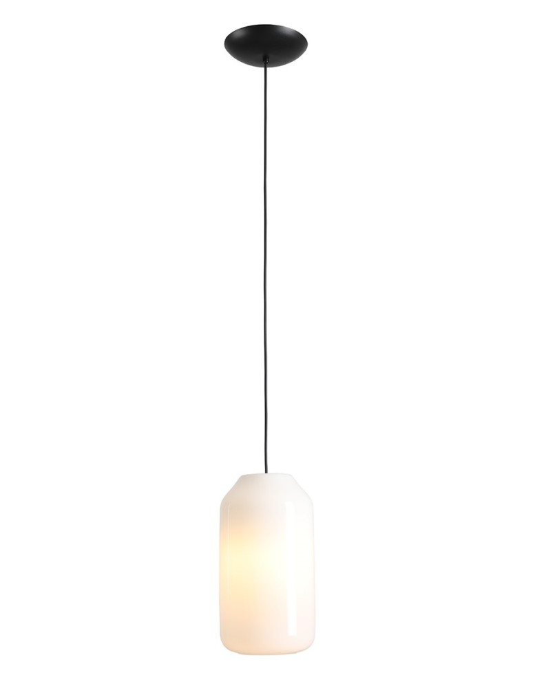 Aldex Lampa Wisząca FLASK ORCHID M(żarówki w zestawie) 1 x max 15W LED (8500G1_M)