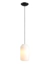 Aldex Lampa Wisząca FLASK ORCHID M(żarówki w zestawie) 1 x max 15W LED (8500G1_M)