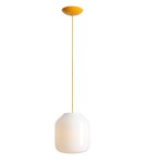 Aldex Lampa Wisząca FLASK MIMOSA L(żarówki w zestawie) 1 x max 15W LED (8500G21_L)