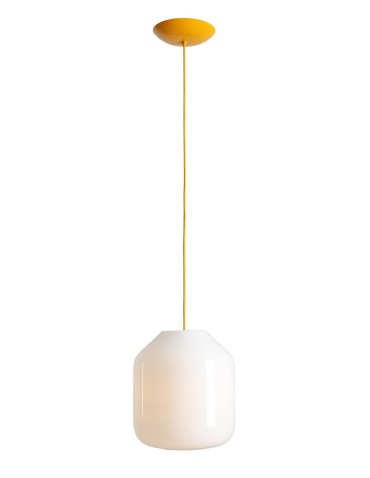 Aldex Lampa Wisząca FLASK MIMOSA L(żarówki w zestawie) 1 x max 15W LED (8500G21_L)