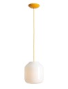 Aldex Lampa Wisząca FLASK MIMOSA L(żarówki w zestawie) 1 x max 15W LED (8500G21_L)