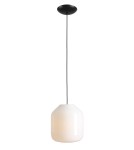 Aldex Lampa Wisząca FLASK ORCHID L(żarówki w zestawie) 1 x max 15W LED (8500G1_L)