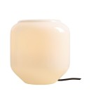 Aldex Lampa Stojąca FLASK ORCHID S(żarówki w zestawie) 1 x max 10W LED (8500B1_S)