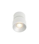 Nordlux Pitcher Spot light Biały 2310400101