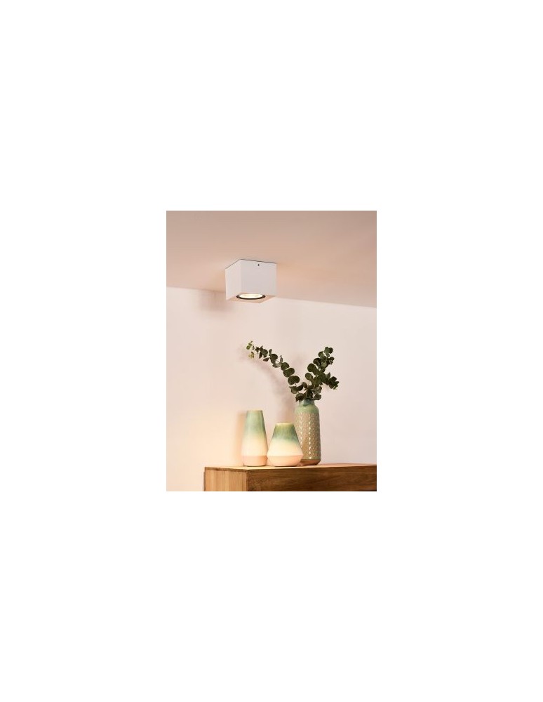 Ceiling luminaires for replaceable light source - Lucide FEDLER Ceiling 1xGU10 white 09922/12/31 - product kolory-swiatla.pl 10